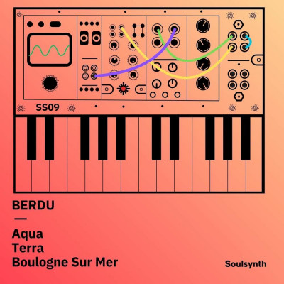 Berdu-Soulsynth_09-(SS09)-WEB-2026-PTC zhouse cloud download zippy mega
