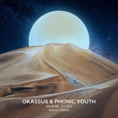 OKASSUS_and_Phonic_Youth-Where_To_Go_(Wassu_Remix)-(SEK436B)-WEB-2026-PTC zhouse cloud download zippy mega