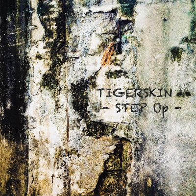Tigerskin-Step_Up_EP-(FF062)-WEB-2026-PTC zhouse cloud download zippy mega