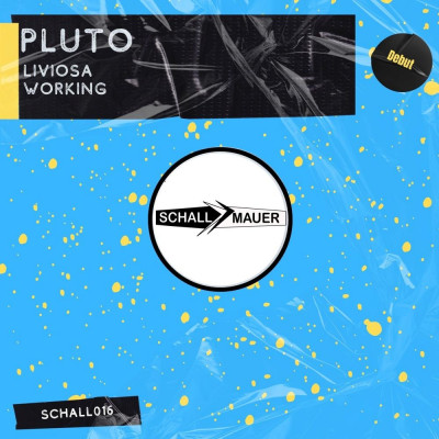 Pluto-Liviosa-(SCHALL016)-WEB-2024-AFO_INT zhouse cloud download zippy mega