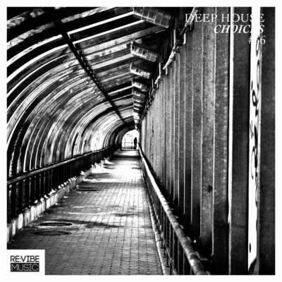 VA-Deep_House_Choices_Vol_36-(RVMCOMP2471A)-WEB-2022-KNOWN zhouse cloud download zippy mega