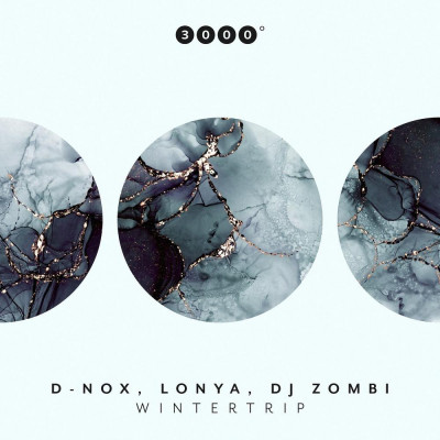 D-Nox_and_Lonya_and_DJ_Zombi-Wintertrip-(3000GRAD162)-WEB-2024-PTC zhouse cloud download zippy mega