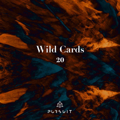 Pammin_x_MI_LAN-Wild_Cards_20-(PRST093)-WEB-2023-AFO_INT zhouse cloud download zippy mega