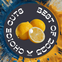 VA-Choice_Cuts_Best_Of_2025-(FMR148)-WEB-2026-BF zhouse cloud download zippy mega