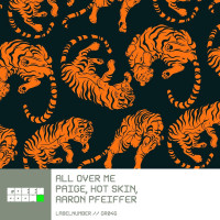 Paige_And_Aaron_Pfeiffer_And_HOT_SKIN_-_All_Over_Me_(Extended_Mix)-(GR046BP)-SINGLE-WEB-2025-iDC zhouse cloud download zippy mega