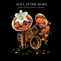 VA-Soul_In_The_Horn_(Act_4)_(Deluxe_Edition_REMIXES_And_BONUSES)-(DIGITAL-SITH004)-WEB-2026-BB zhouse cloud download zippy mega