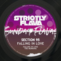 Section_95-Falling_In_Love_And_The_Morning-(UNFLV102)-WEB-2026-BB zhouse cloud download zippy mega