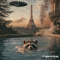 Karol_Colomb_-_Last_Night-(A205)-WEB-2025-iDC zhouse cloud download zippy mega