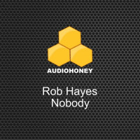 Rob_Hayes_-_Nobody-SINGLE-WEB-2025-iDC zhouse cloud download zippy mega