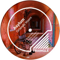 Orlando_Voorn-Asylum-(TRIREC028)-WEB-2026-BB zhouse cloud download zippy mega