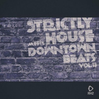 VA-Strictly_House_Meets_Downtown_Beats_Vol._13-(RH2COMP3169)-WEB-2026-COS zhouse cloud download zippy mega