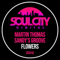 Martin_Thomas_X_Sandys_Groove_-_Flowers-WEB-2025-iDC zhouse cloud download zippy mega