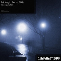 VA-Midnight_Beats_2024-(CIN216)-WEB-2024-AFO zhouse cloud download zippy mega