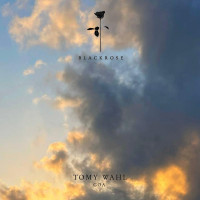 Tomy_Wahl-Goa-(BRR62)-WEB-2024-AFO zhouse cloud download zippy mega