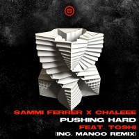 Sammi_Ferrer_x_Chaleee_feat_Toshi--Pushing_Hard-(KZ0130)-WEB-2023-YALLA zhouse cloud download zippy mega