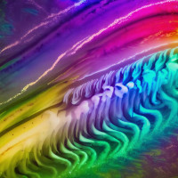 Sarah_Wild-RUSH-(DESSERT027)-WEB-2024-AFO zhouse cloud download zippy mega