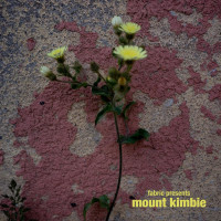 VA-fabric_Presents_Mount_Kimbie-(FABRIC232DL)-READNFO-WEB-2026-BB zhouse cloud download zippy mega