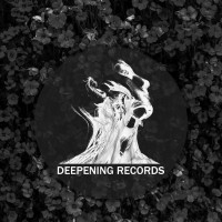 VA-Deepening_Hit_Pack_II-(DEP0080)-WEB-2024-HeRTZ zhouse cloud download zippy mega