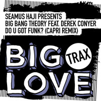 Seamus_Haji_Presents_Big_Bang_Theory_Ft_Derek_Conyer_-_Do_U_Got_Funk_(Capri_Remix)-WEB-2026-iDC zhouse cloud download zippy mega