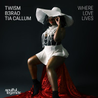 Twism_Ft_B3RAO_And_Tia_Callum_-_Where_Love_Lives-WEB-2026-iDC zhouse cloud download zippy mega
